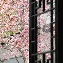 苏州旅游 缩略图 12