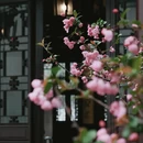 苏州旅游 缩略图 5