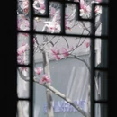 苏州旅游 缩略图 15