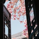 苏州旅游 缩略图 14