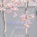 苏州旅游 缩略图 16