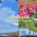 三亚旅游 缩略图 1