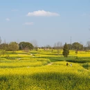南京旅游 缩略图 3