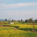 南京旅游 缩略图 5