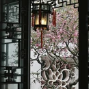 苏州旅游 缩略图 7