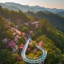 杭州旅游 缩略图 6