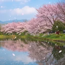 杭州旅游 缩略图 8