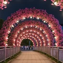 北京旅游 缩略图 10