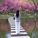 北京旅游 缩略图 8