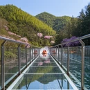杭州旅游 缩略图 12