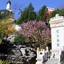 北京旅游 缩略图 11