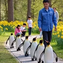 北京旅游 缩略图 7