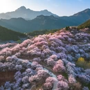 西安旅游 缩略图 7