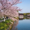 杭州旅游 缩略图 3