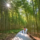 北京旅游 缩略图 8