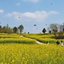 广州旅游 缩略图 4
