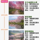 杭州旅游 缩略图 1