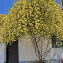 苏州旅游 缩略图 2