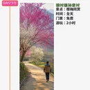 杭州旅游 缩略图 4