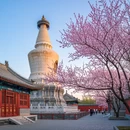 北京旅游 缩略图 5
