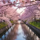 北京旅游 缩略图 4
