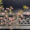 苏州旅游 缩略图 15