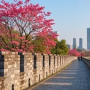 长沙旅游 缩略图 6