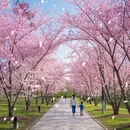 北京旅游 缩略图 16