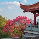 长沙旅游 缩略图 9
