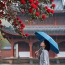 长沙旅游 缩略图 12