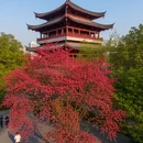 长沙旅游 缩略图 7