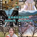 西安旅游 缩略图 1