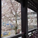苏州旅游 缩略图 15