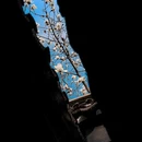苏州旅游 缩略图 16