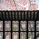 苏州旅游 缩略图 1