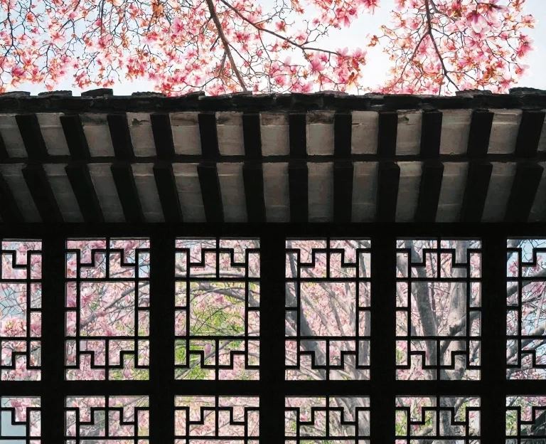 苏州旅游 1
