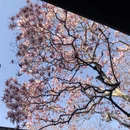 苏州旅游 缩略图 2