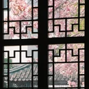 苏州旅游 缩略图 4
