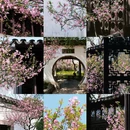 苏州旅游 缩略图 1