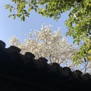 苏州旅游 缩略图 3