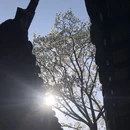 苏州旅游 缩略图 4