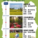广州旅游 缩略图 1