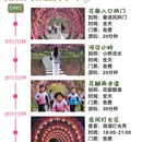 北京旅游 缩略图 2