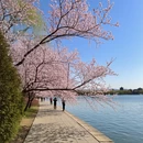 北京旅游 缩略图 10