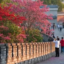长沙旅游 缩略图 5