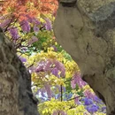 苏州旅游 缩略图 8