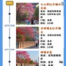 长沙旅游 缩略图 1