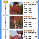长沙旅游 缩略图 2