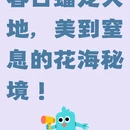 上海旅游 缩略图 1