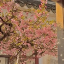 苏州旅游 缩略图 10